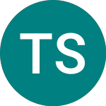 Logo de Tableau Software (0LCS).