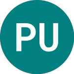 Logo de Premier Uk Dual Return Trust (PUKI).
