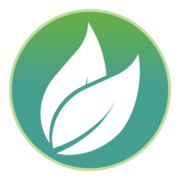 Logo de Integrated Green Energy ... (IGE).
