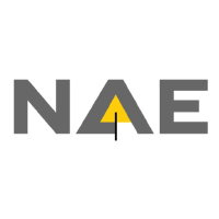 Logo de New Age Exploration (NAE).