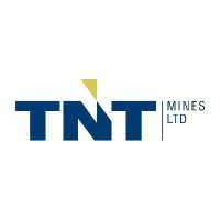 Logo de TNT Mines (TIN).
