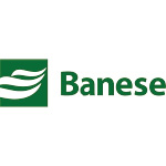 Logo de BANESE ON