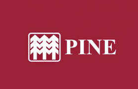 Logo de PINE PN