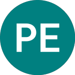 Logo de  (PEBI).