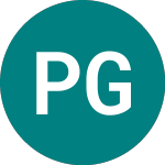 Logo de Peninsular Gold (PGL).