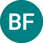 Logo de Bos Fund 29 (PL63).