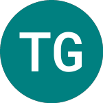 Logo de Tellings Golden Miller (TGM).