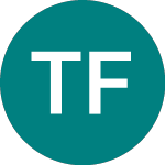 Logo de Ti Fluid Systems