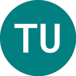Logo de Tinf Us (usd) (TINF).