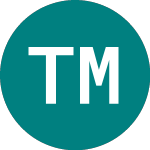 Logo de Tertiary Minerals (TYM).
