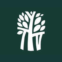 Logo de Banyon Tree (PK) (BYNEF).