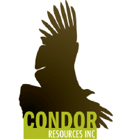 Logo de Condor Res (PK) (CNRIF).