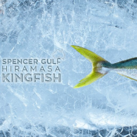 Logo de Clean Seas Seafood (PK) (CTUNF).