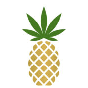 Logo de Pineapple (PK) (PNPL).