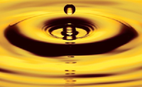 Logo de Precipitate Gold (QB) (PREIF).
