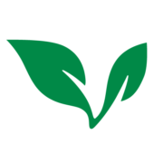 Logo de MedBright AI Investments (QB) (VNNYF).