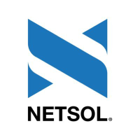 Logo de NetSol Technologies (NTWK).