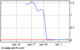 Plus de graphiques de la Bourse NUBURU (PK)